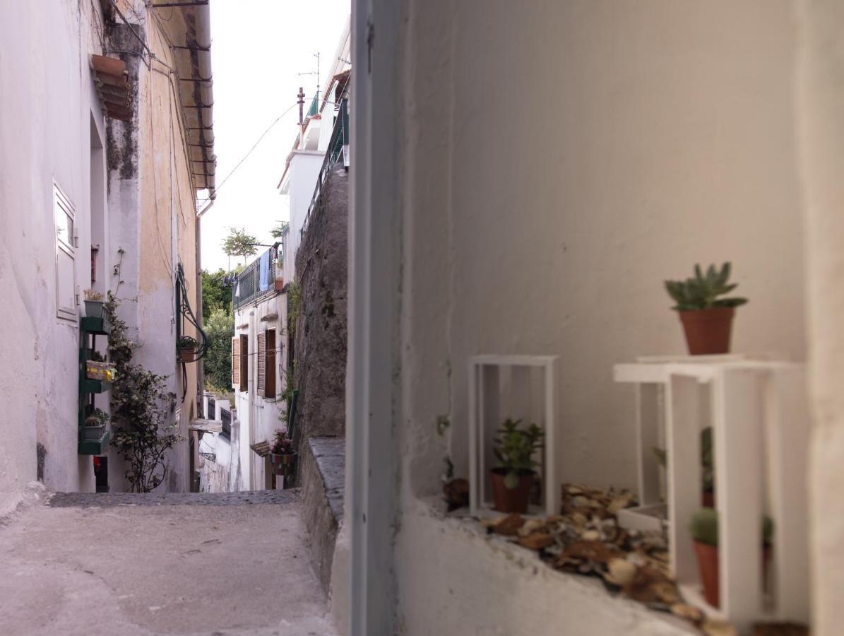 Amalfi Coast Sea View Villa Vietri Kültér fotó